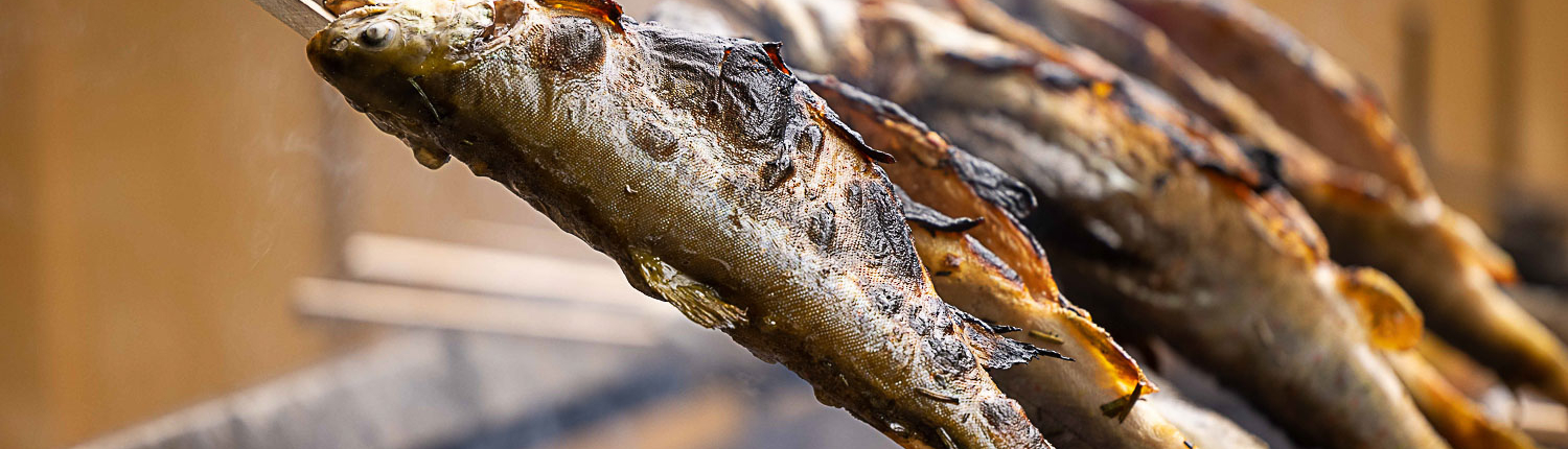 Fischzucht Konrad Rappl