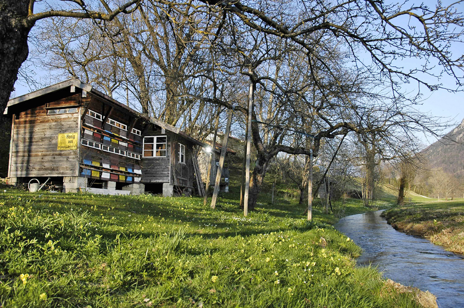 loidl-hausladl-bienenhauser